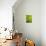 Abstract green flora-Savanah Plank-Stretched Canvas displayed on a wall