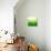 Abstract Green Triangle Background-epic44-Stretched Canvas displayed on a wall