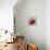 Abstract Kitchen Fruit 2-Jean Plout-Premier Image Canvas displayed on a wall