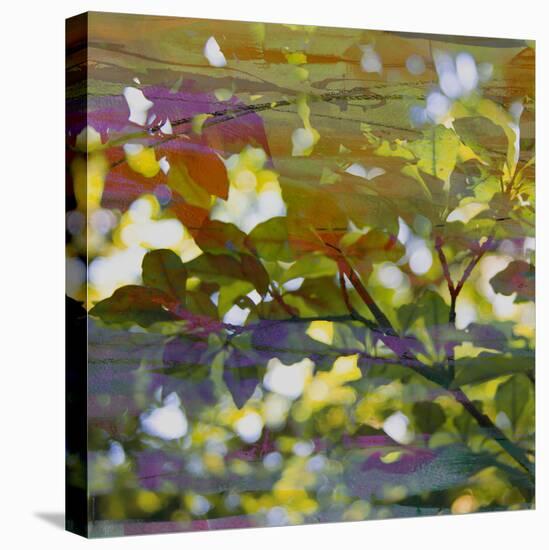 Abstract Leaf Study II-Sisa Jasper-Premier Image Canvas