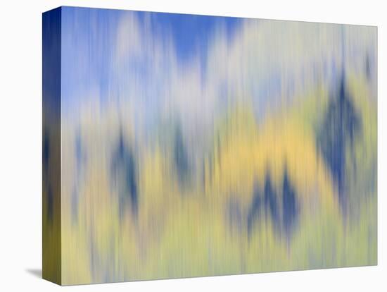 Abstract of Fall Colors of Spruce and Hemlock, Nuuksio National Park, Finland-Arthur Morris-Premier Image Canvas