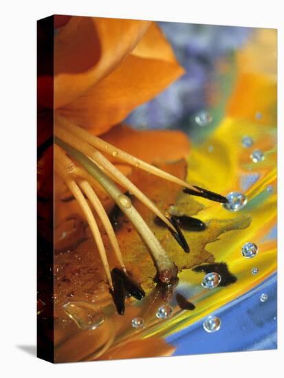 Abstract of Lily Stamens in Reflection-Nancy Rotenberg-Premier Image Canvas