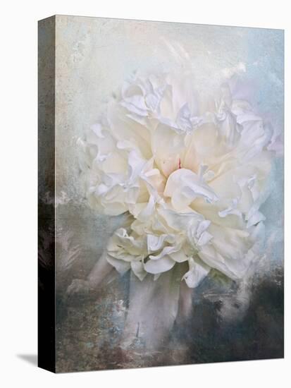 Abstract Peony in Blue-Jai Johnson-Premier Image Canvas