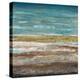 Abstract Sea 2-Dennis Dascher-Stretched Canvas