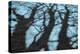 Abstract Shadows in Blue-Adrian Campfield-Premier Image Canvas