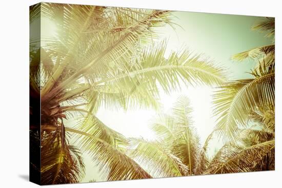 Abstract Summer Background with Tropical Palm Tree Leaves-Perfect Lazybones-Premier Image Canvas