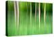 Abstract Trees-Mark Sunderland-Premier Image Canvas