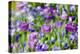 Abstract tulips, Giverny, France-Russ Bishop-Premier Image Canvas