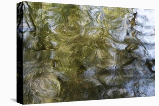 Abstract Water 100178-Rica Belna-Premier Image Canvas