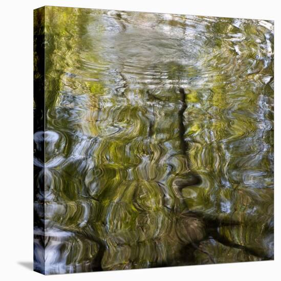 Abstract Water 100231-Rica Belna-Premier Image Canvas