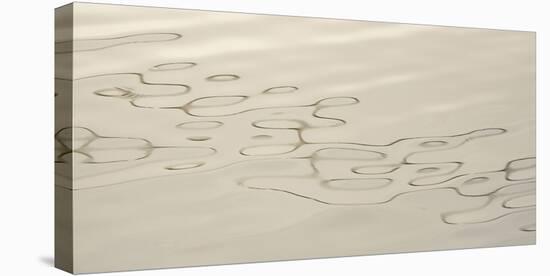 Abstract water reflection-Ken Archer-Premier Image Canvas