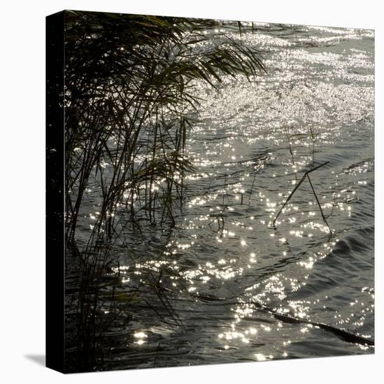 Abstract Water-Rica Belna-Premier Image Canvas