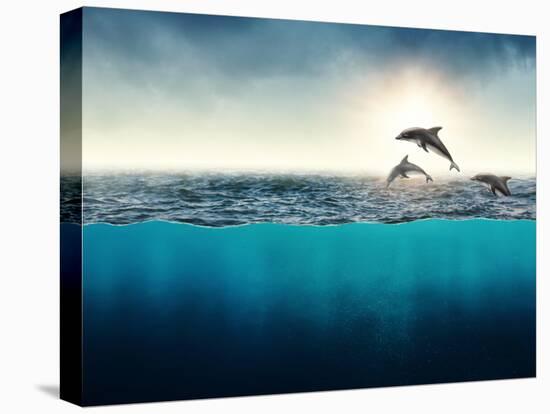 Abstract with Dolphins in Ocean-Elena Schweitzer-Premier Image Canvas