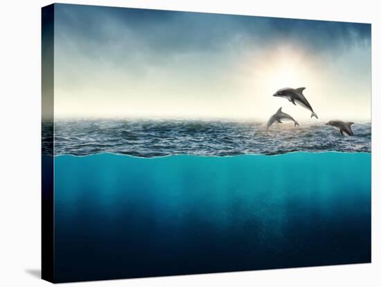 Abstract with Dolphins in Ocean-Elena Schweitzer-Premier Image Canvas