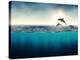 Abstract with Dolphins in Ocean-Elena Schweitzer-Premier Image Canvas