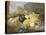 Abundance of Fruit-Eloise Harriet Stannard-Premier Image Canvas