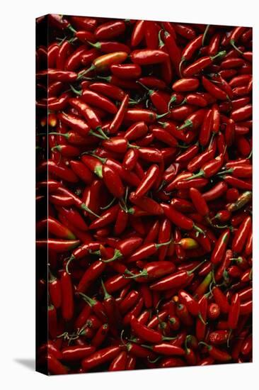 Abundance of Red Chilies-Randy Faris-Premier Image Canvas