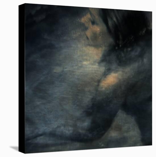 Abyss-Gideon Ansell-Premier Image Canvas