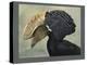 Abyssinian Crested Hornbill-null-Premier Image Canvas