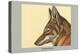 Abyssinian Wolf-Louis Agassiz Fuertes-Stretched Canvas