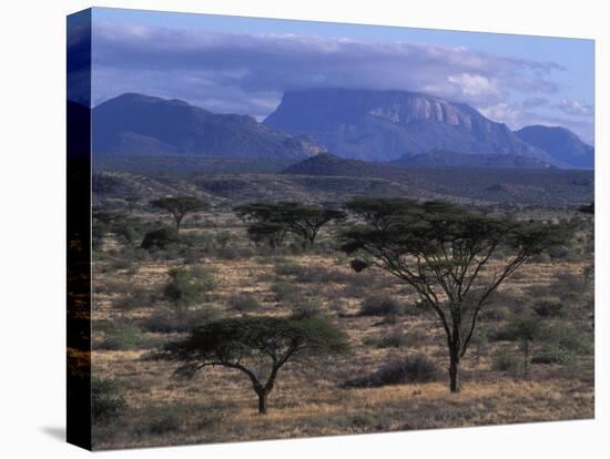 Acacia and Distant Massif North of Mt Kenya, Samburu National Reserve, Kenya-Paul Souders-Premier Image Canvas