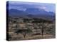 Acacia and Distant Massif North of Mt Kenya, Samburu National Reserve, Kenya-Paul Souders-Premier Image Canvas