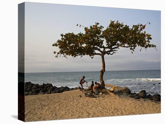 Acacia Tree on the Edge of the City of Sao Tomé, Where Young People Go to Bathe-Camilla Watson-Premier Image Canvas