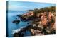 Acadia Coastline-Larry Malvin-Premier Image Canvas