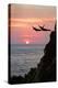 Acapulco Cliff Divers at Sunset-Thom Lang-Premier Image Canvas