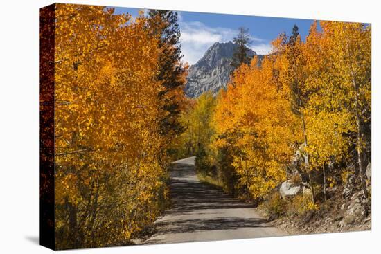 Access Road to Sabrina Lake, Eastern Sierra, Bishop Creek, California-Michael Qualls-Premier Image Canvas