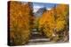 Access Road to Sabrina Lake, Eastern Sierra, Bishop Creek, California-Michael Qualls-Premier Image Canvas