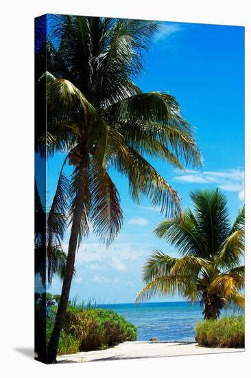 Access to the Beach Paradise - Florida - USA-Philippe Hugonnard-Premier Image Canvas