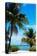 Access to the Beach Paradise - Florida - USA-Philippe Hugonnard-Premier Image Canvas