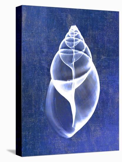 Achatina Shell (indigo)-Bert Myers-Stretched Canvas