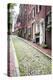 Acorn Street, the Oldest Street in the Beacon Hill Area of Boston Massachusetts-pdb1-Premier Image Canvas