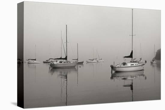 Across the Lake - BW-Tammy Putman-Premier Image Canvas