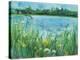 Across The Lake-Ann Oram-Stretched Canvas