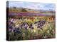 Across to Burgate-Timothy Easton-Premier Image Canvas