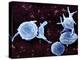 Activated Platelets, SEM-Science Photo Library-Premier Image Canvas