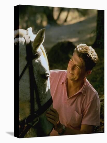 Actor and California Gubernatorial Candidate Ronald Reagan Petting Horse Outside on Ranch at Home-Bill Ray-Premier Image Canvas