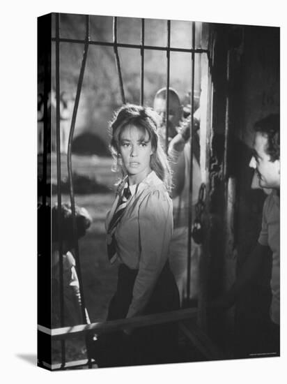 Actress Jeanne Moreau During Filming of "Viva Maria"-Ralph Crane-Premier Image Canvas