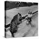 Actress Marilyn Maxwell Playing with a Tiger in a Pool-Allan Grant-Premier Image Canvas