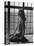 Actress Peggy Cummins Looking Out of a Window-Bob Landry-Premier Image Canvas