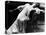 Actress Sarah Bernhardt-null-Stretched Canvas