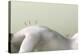 Acupuncture on Woman's Back, Artwork-Christian Darkin-Premier Image Canvas