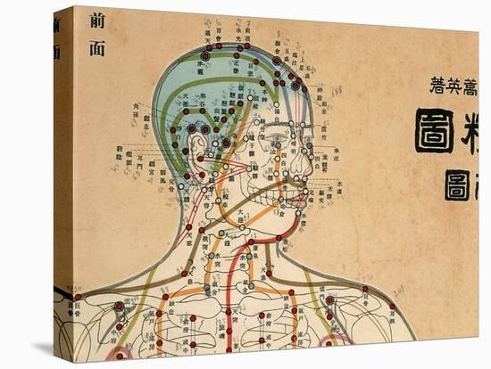 Acupuncture Points and Meridians of Human Body-null-Premier Image Canvas