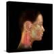 Acupuncture Points-David Gifford-Premier Image Canvas