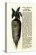 Ad for Lane's Improved Imperial Sugar Beet, B.K. Bliss and Sons, New York, 1872-null-Premier Image Canvas
