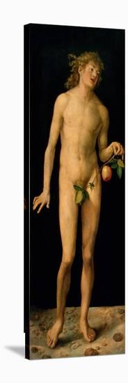 Adam, 1507-Albrecht Dürer-Premier Image Canvas