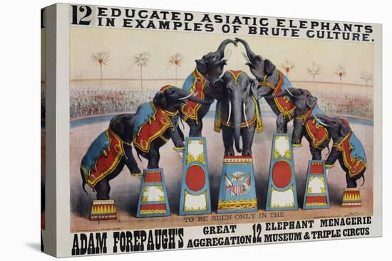 Adam Forepaugh's Great Aggregation Poster-Matt Morgan-Premier Image Canvas